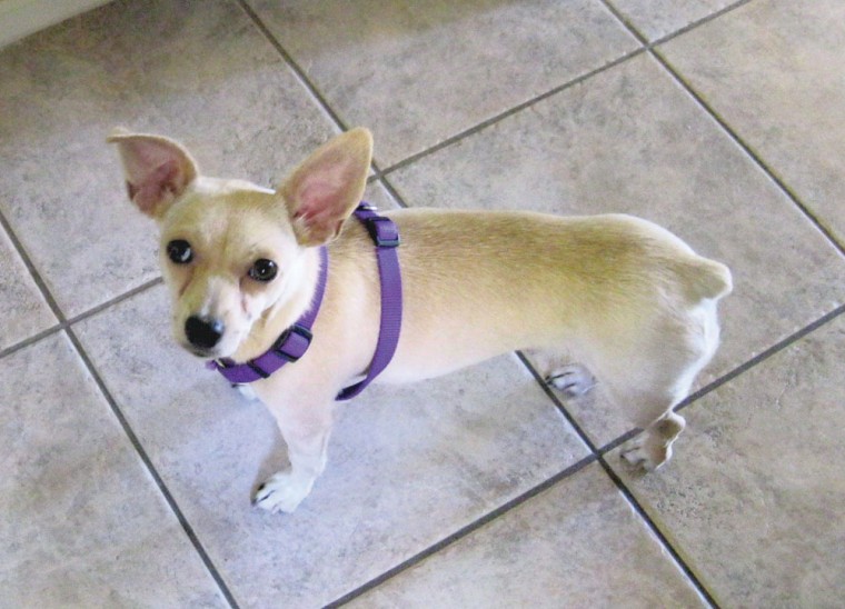 Someone to love: Lizzy